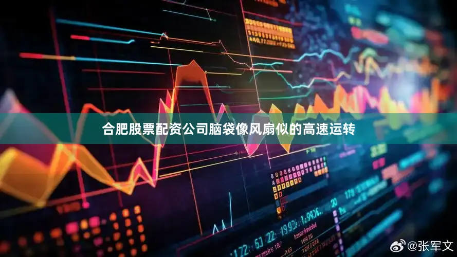 合肥股票配资公司脑袋像风扇似的高速运转