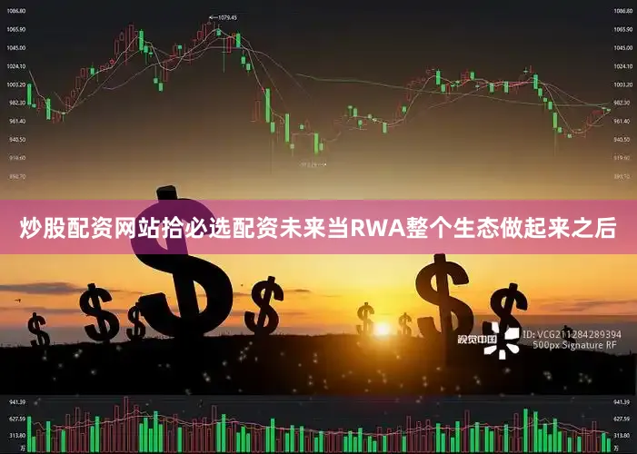炒股配资网站拾必选配资未来当RWA整个生态做起来之后
