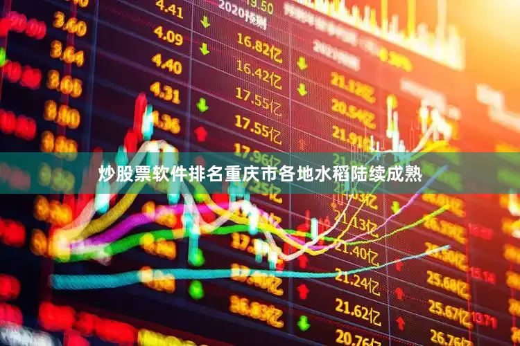 炒股票软件排名重庆市各地水稻陆续成熟