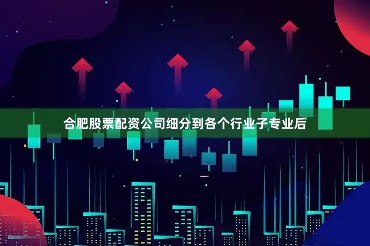 合肥股票配资公司细分到各个行业子专业后